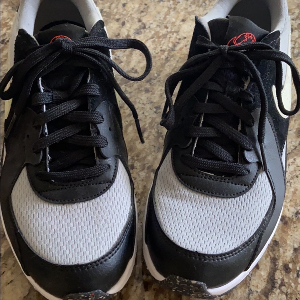 Big Kid Nike Air Max Shoes